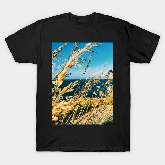 Golden Grass T-Shirt by visualspectrum